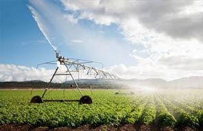irrigation