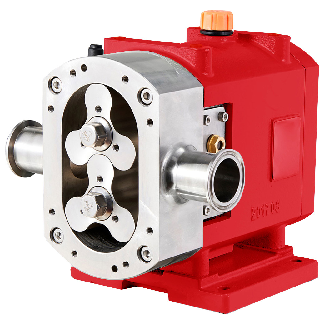 Lobe Pumps Food Cosmetic Paper Pulp Etc DAE Pumps Lobe Pumps Food Cosmetic Paper Pulp Etc DAE Pumps
