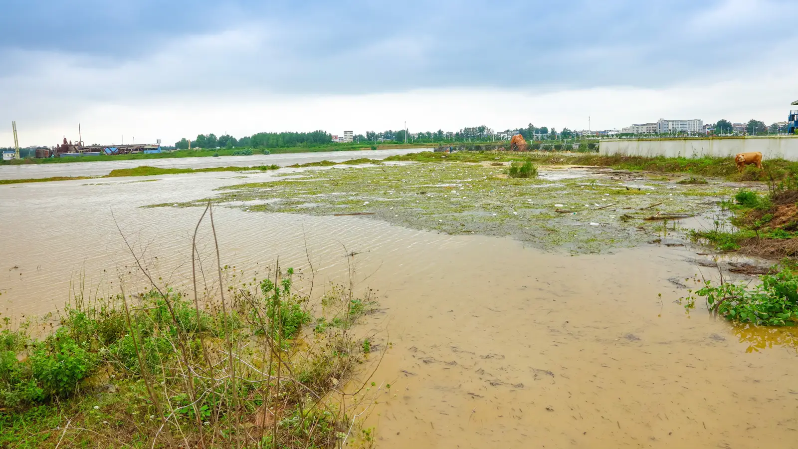Flood Control and Emergency Pumping Flooded farm fields with standing muddy water after heavy rain
