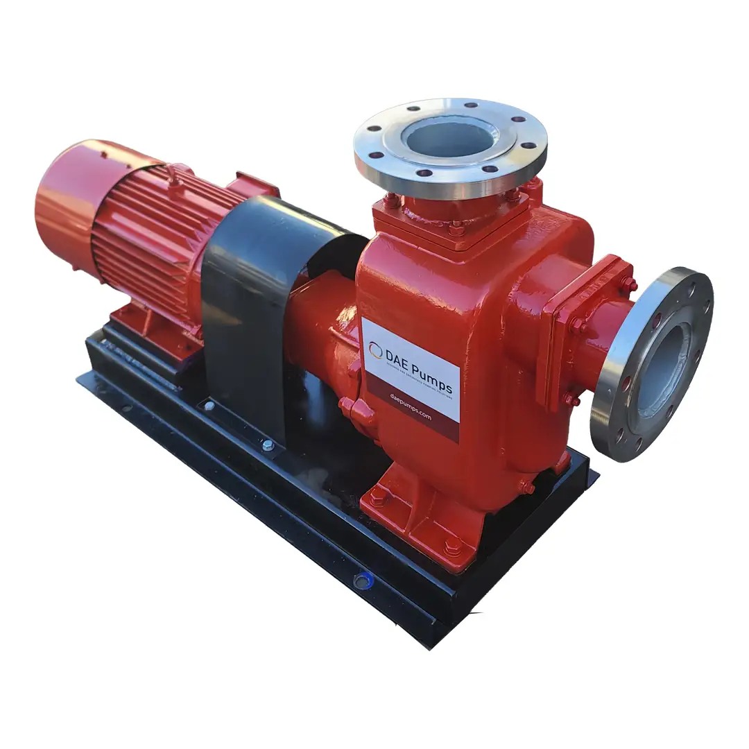 Radford 1250 Self-Priming Sewage Pump DAE Pumps Radford 1250 electric self-priming sewage pump on a steel base plate